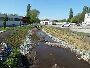 Renaturierter Abschnitt des Lockwitzbaches - befestigte und bepflanzte Böschung