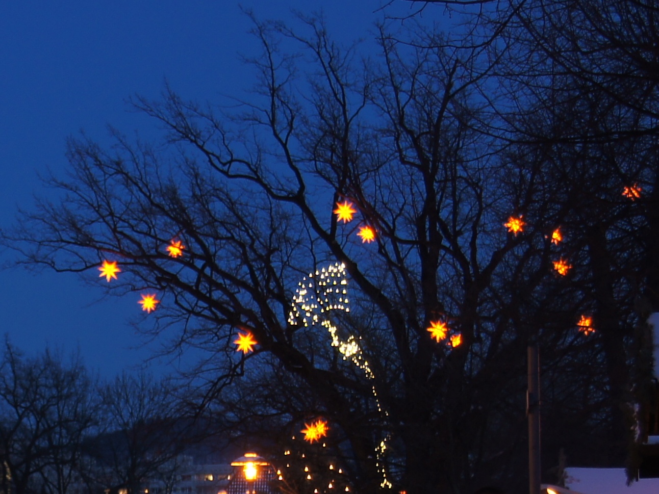 Sterneweihnacht