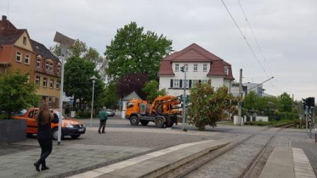 Ein Baum fährt spazieren