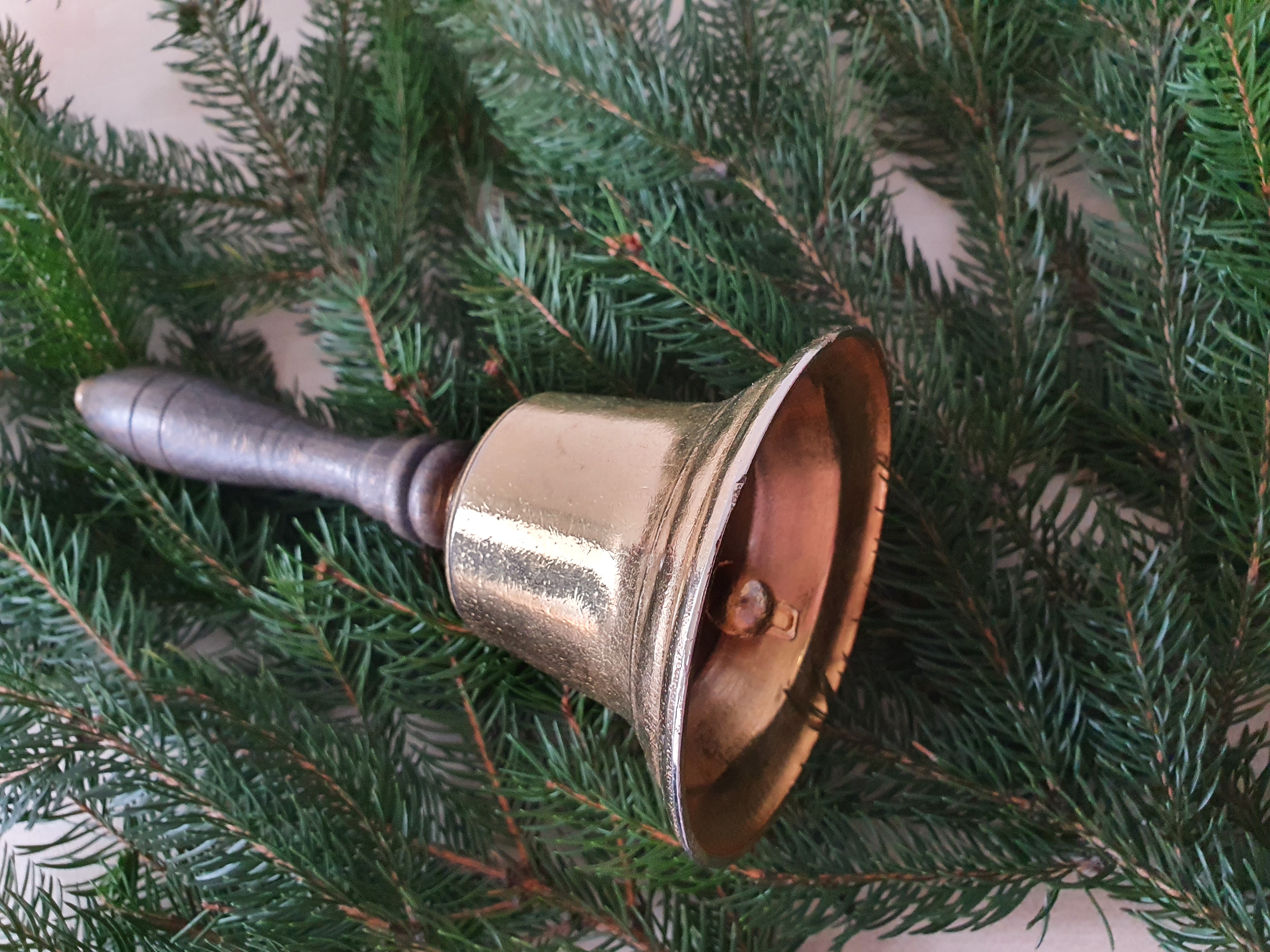 Glöckchen in Tannenzweigen