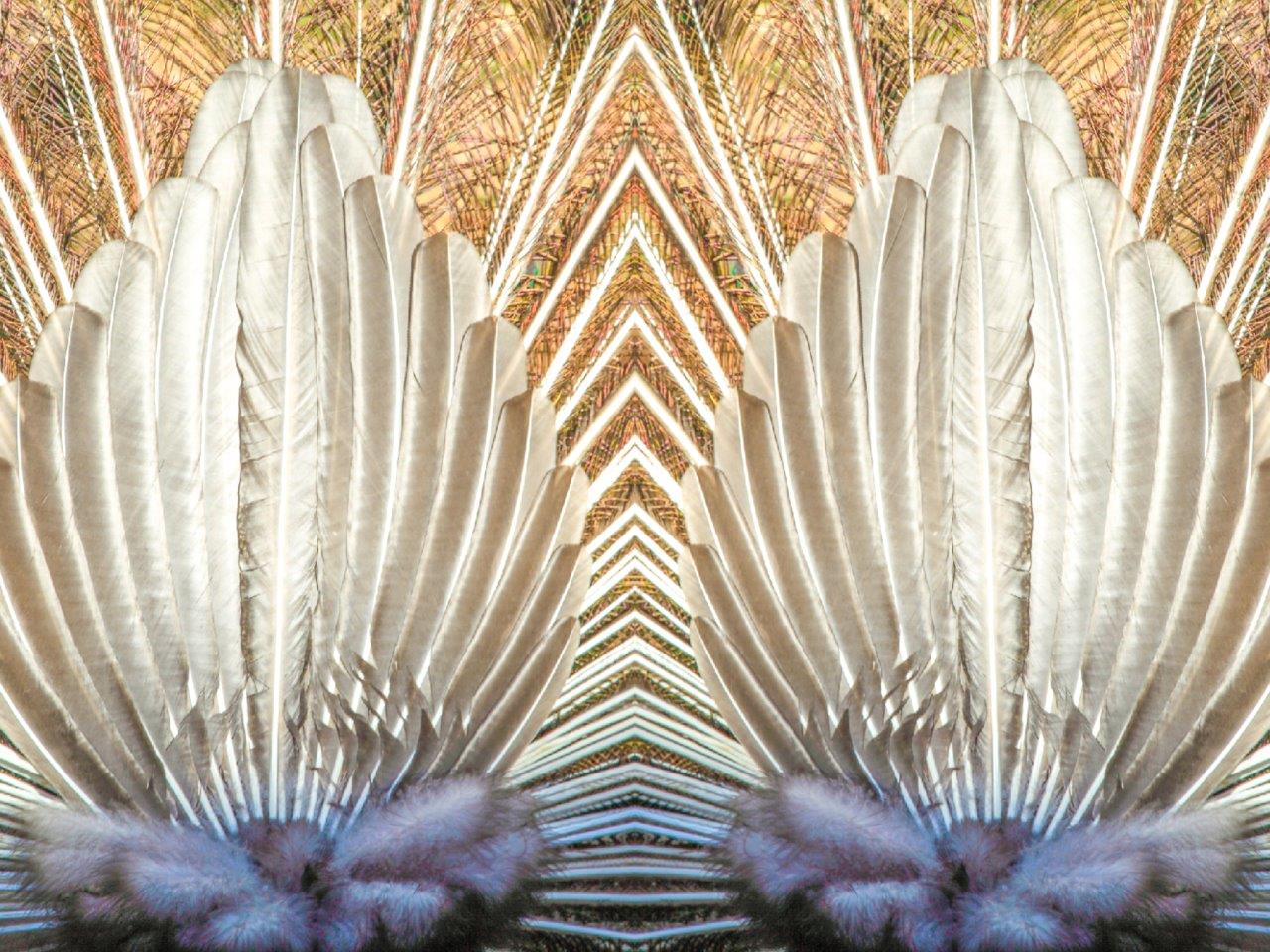 eitel von hinten-Foto Piet Joehnk