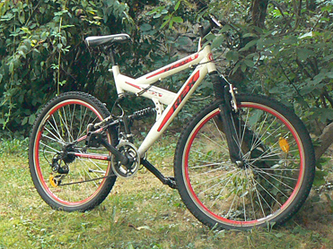 Ein Fahrrad steht an einem Baum
