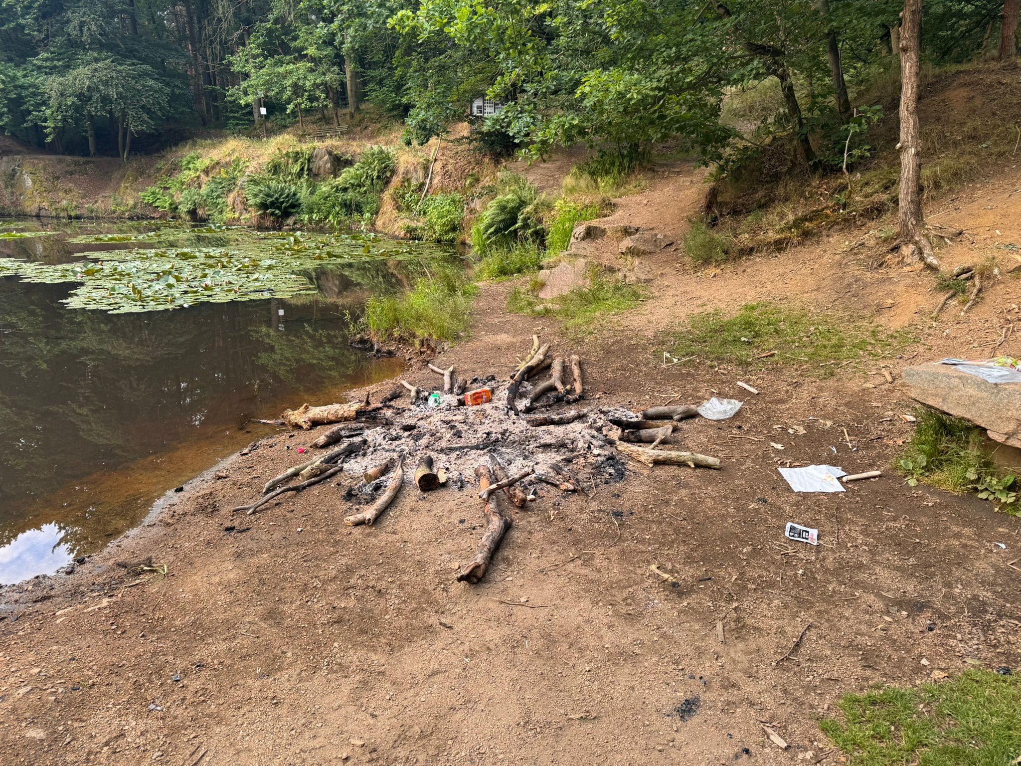 Lagerfeuer am Seerosenteich, Foto: Freiwillige Feuerwehr Coswig