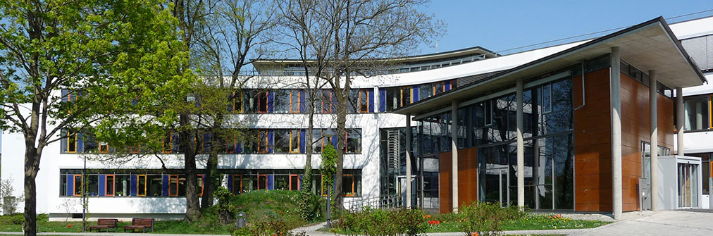 Coswiger Rathaus - Blick vom Museum