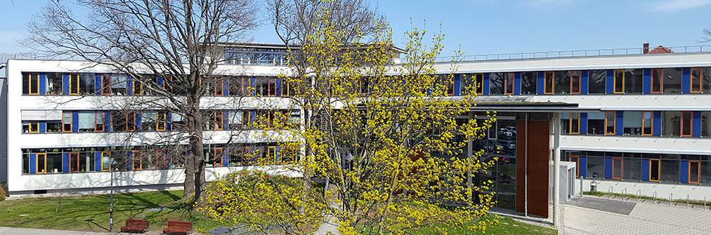 Coswiger Rathaus - Blick aus dem Museum