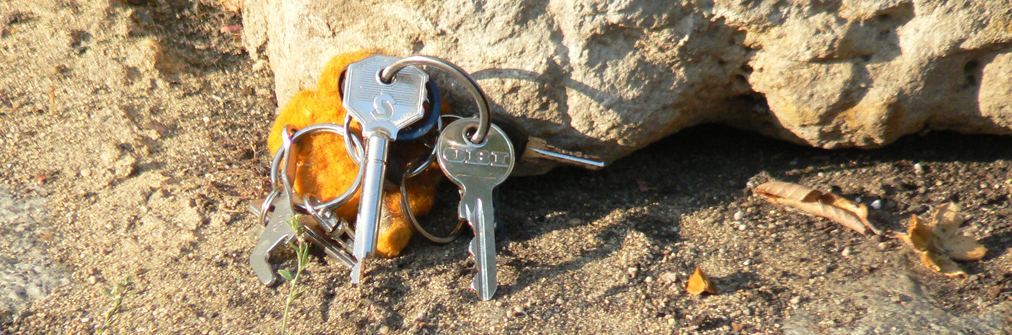 Fundstück im Bürgerpark