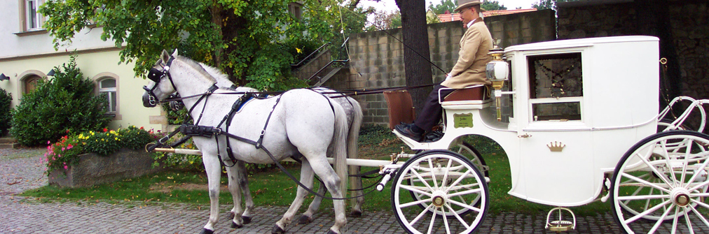 Hochzeitskutsche vor der Karrasburg
