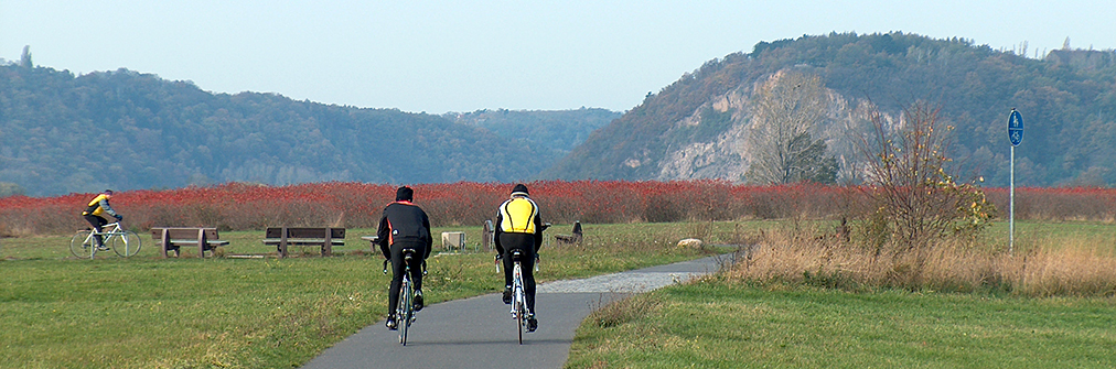 Radfahrer fahren auf dem Elberadweg in Richtung Sörnewitz - Blick zur Bosel
