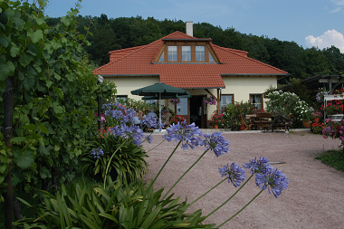 Blick zum Winzerhaus Matyas